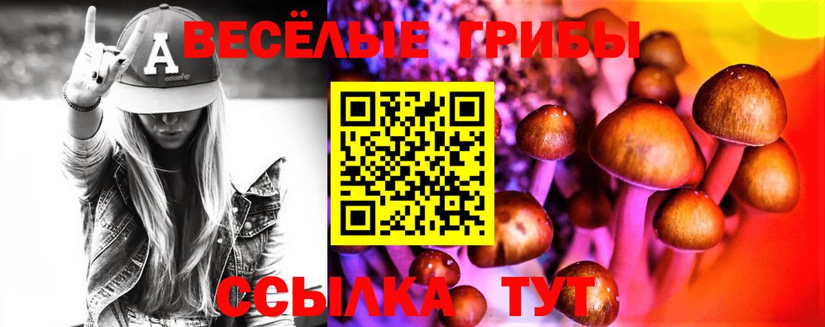 Псилоцибиновые грибы мицелий Коммунар