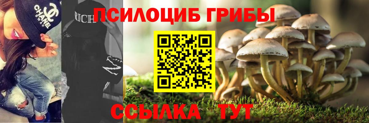 Галлюциногенные грибы мухоморы  Псилоцибиновые грибы GOLDEN TEACHER  купить закладку  Вход с VPN  Коммунар 