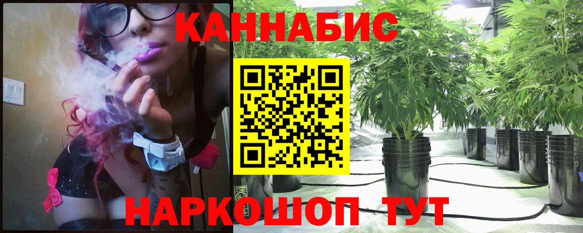 Каннабис конопля Коммунар
